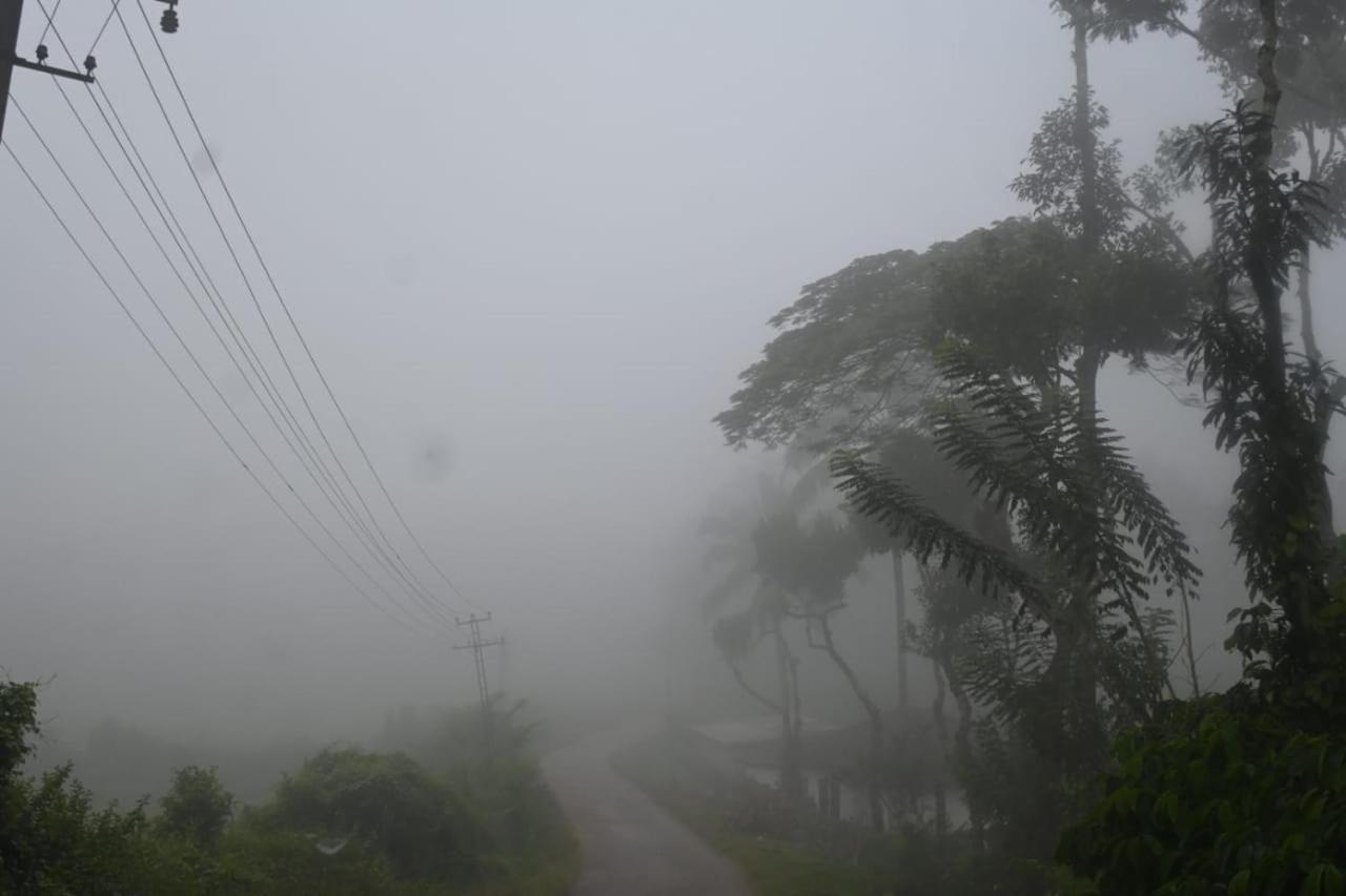 Halase Homestay Mudigere Buitenkant foto