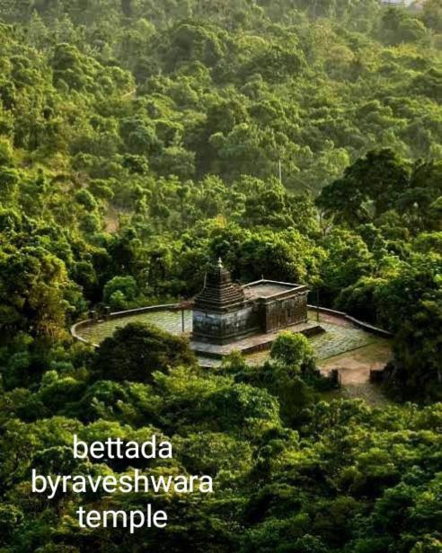 Halase Homestay Mudigere Buitenkant foto